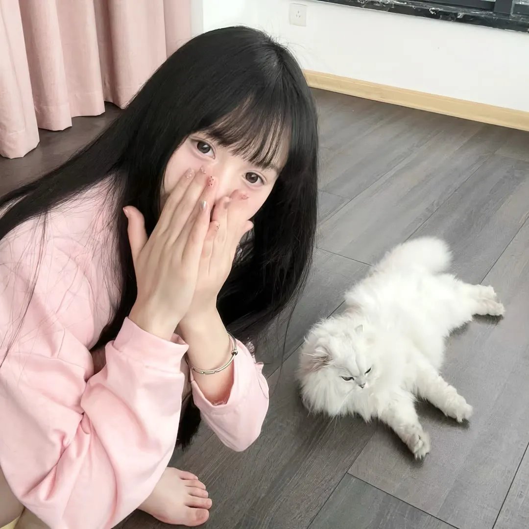 魅味 在线观看