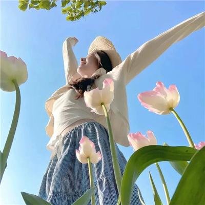石纪元第四季 在线观看
